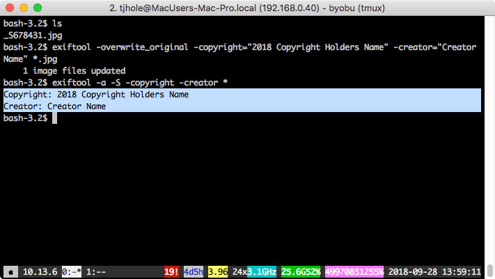 'Use EXIFTOOl to add copyright info'