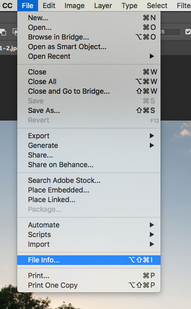 'Lightroom Add Copyright'